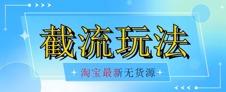首发价值2980最新淘宝无货源不开车自然流超低成本截流玩法日入300+【揭秘】【1016更新】-E网资源