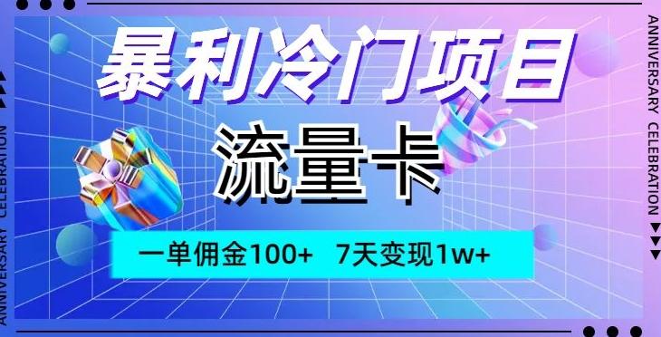 暴利冷门项目，流量卡，一单佣金100+，7天变现1w+-E网资源
