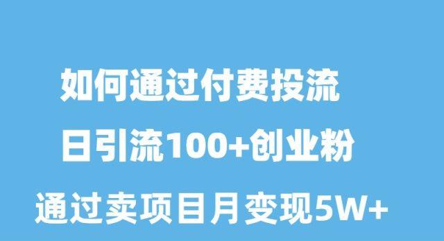 如何通过付费投流日引流100+创业粉月变现5W+-E网资源