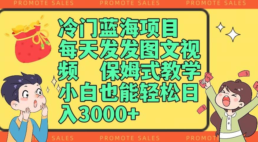 冷门蓝海项目，每天发发图文视频，保姆式教学，小白也能轻松日入3000+-E网资源