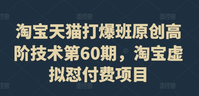 淘宝天猫打爆班原创高阶技术第60期，淘宝虚拟怼付费项目-E网资源