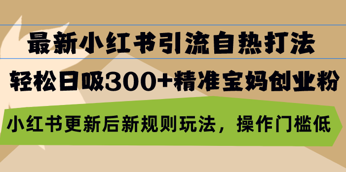 最新小红书引流自热打法，轻松日吸300+精准宝妈创业粉，小红书更新后新...-E网资源