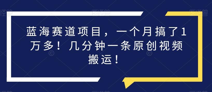 蓝海赛道项目，一个月搞了1万多！几分钟一条原创视频搬运！-E网资源