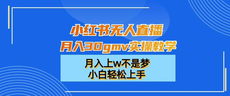 小红书无人直播月入30gmv实操教学，月入上w不是梦，小白轻松上手【揭秘】-E网资源