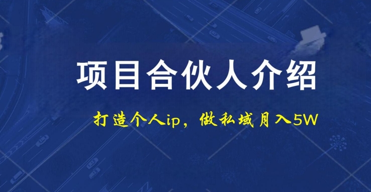 项目合伙人项目，打造个人IP，做私域月入5W，小白勿扰-E网资源