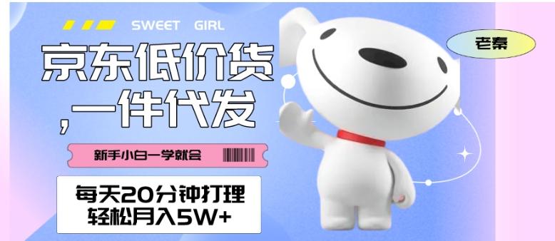 每天20分钟打理京东低价货，一件代发-轻松月入5W＋-E网资源