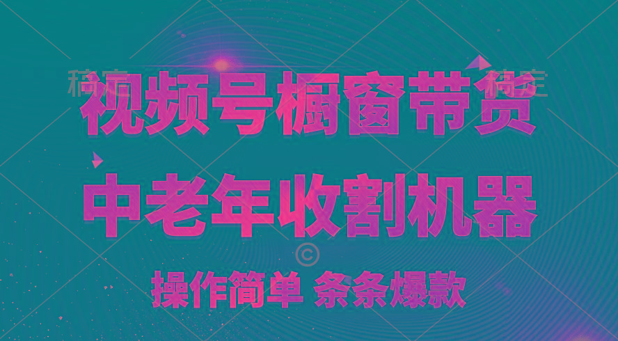 [你的孩子成功取得高位]视频号最火爆赛道，橱窗带货，流量分成计划，条…-E网资源