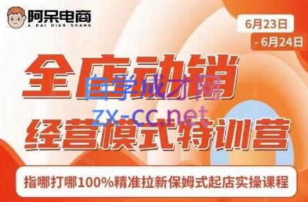 阿呆电商·全店动销经营模式特训营(线下录音+思维导图)-E网资源
