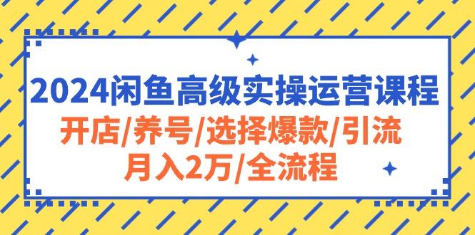 2024闲鱼高级实操运营课程：开店/养号/选择爆款/引流/月入2万/全流程-E网资源