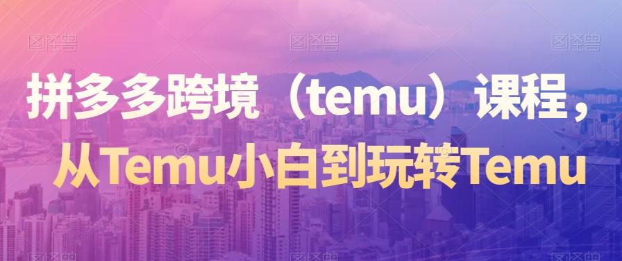 拼多多跨境（temu）课程，从Temu小白到玩转Temu-E网资源