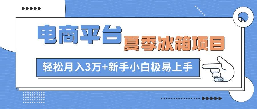 电商平台夏季冰箱项目，轻松月入3万+，新手小白极易上手-E网资源