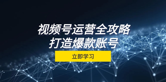 视频号运营全攻略，从定位到成交一站式学习，视频号核心秘诀，打造爆款…-E网资源