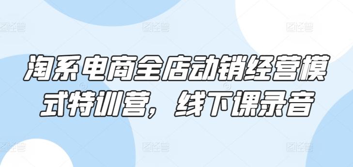 淘系电商全店动销经营模式特训营，线下课录音-E网资源