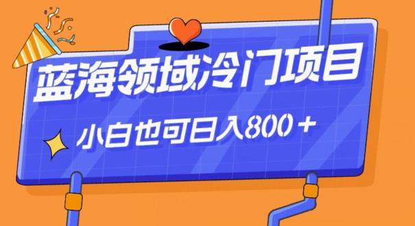 蓝海领域冷门赛道，一单39.9，日入800＋-E网资源