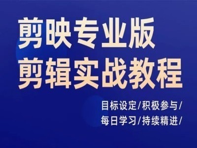 剪映专业版剪辑实战教程，目标设定/积极参与/每日学习/持续精进-E网资源