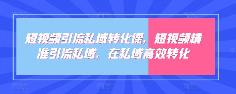 短视频引流私域转化课，短视频精准引流私域，在私域高效转化-E网资源