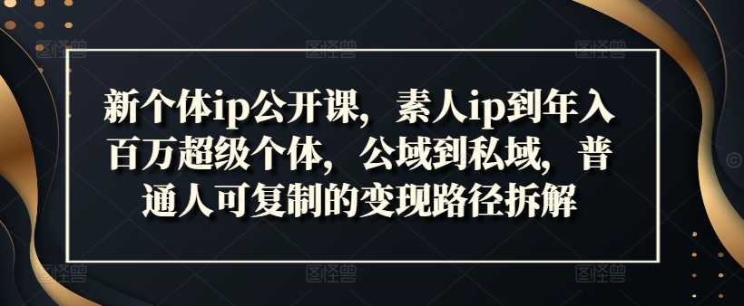 新个体ip公开课，素人ip到年入百万超级个体，公域到私域，普通人可复制的变现路径拆解-E网资源