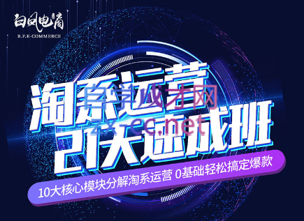 淘系运营21天速成班(更新7月)-E网资源