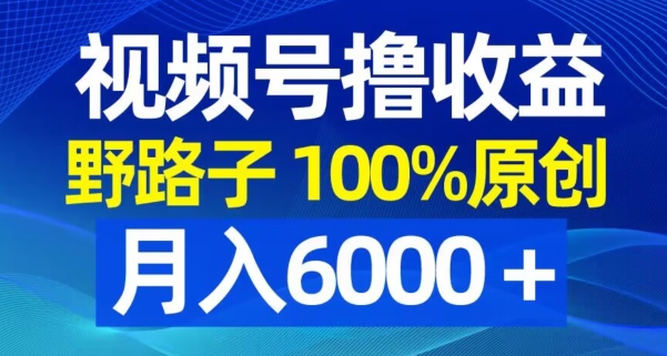 视频号野路子撸收益，100%原创，条条爆款，月入6000＋【揭秘】-E网资源