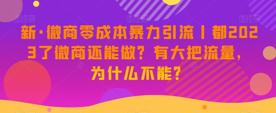 新·微商零成本暴力引流丨都2023了微商还能做？有大把流量，为什么不能？-E网资源