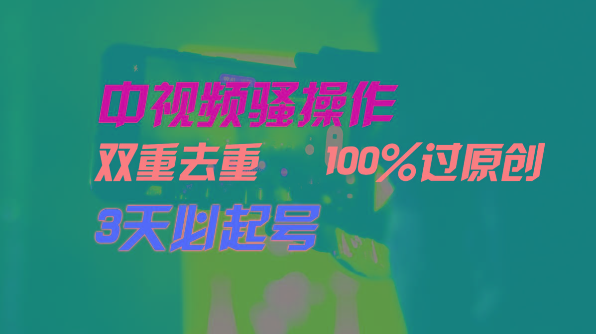 中视频骚操作，双重去重100%过原创，3天比必起号，简单无脑，月入3W+-E网资源