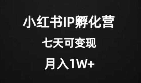 价值2000+的小红书IP孵化营项目，超级大蓝海，七天即可开始变现，稳定月入1W+-E网资源