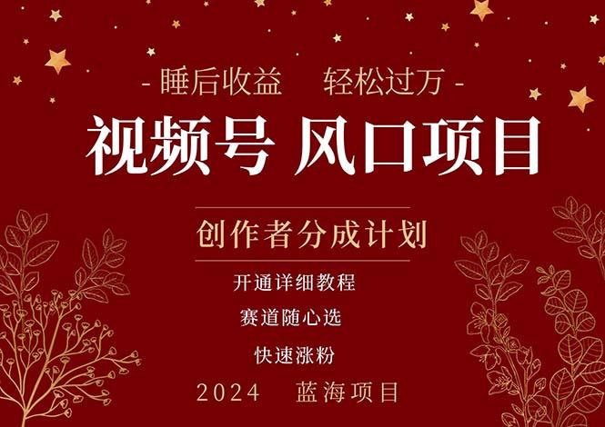拥有睡眠收益的微信视频号大风口项目，轻松月入过万+，多赛道选择，可…-E网资源