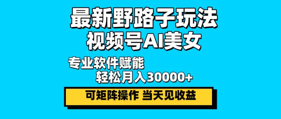 最新野路子玩法，视频号AI美女，当天见收益，轻松月入30000＋-E网资源