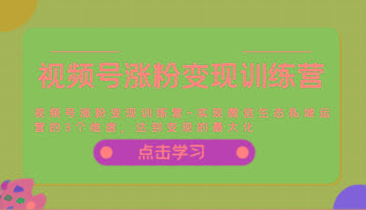视频号涨粉变现训练营-实现微信生态私域运营的3个维度，达到变现的最大化-E网资源