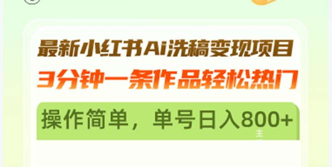 最新小红书Ai洗稿变现项目 3分钟一条作品轻松热门 操作简单，单号日入800+-E网资源
