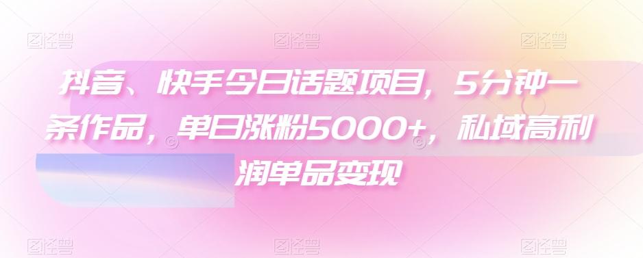抖音、快手今日话题项目，5分钟一条作品，单日涨粉5000+，私域高利润单品变现-E网资源
