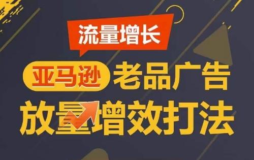流量增长 亚马逊老品广告放量增效打法，短期内广告销量翻倍-E网资源