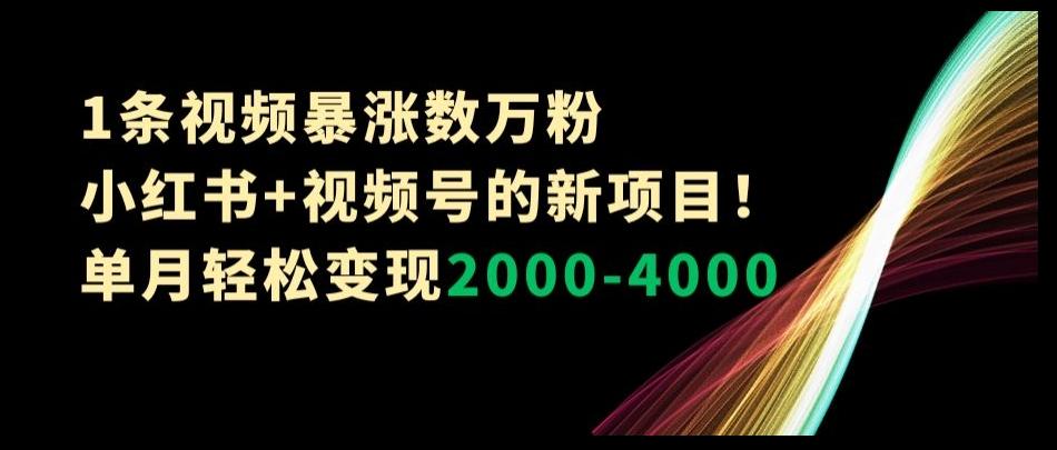 1条视频暴涨数万粉–小红书+视频号的新项目！单月轻松变现2000-4000【揭秘】-E网资源