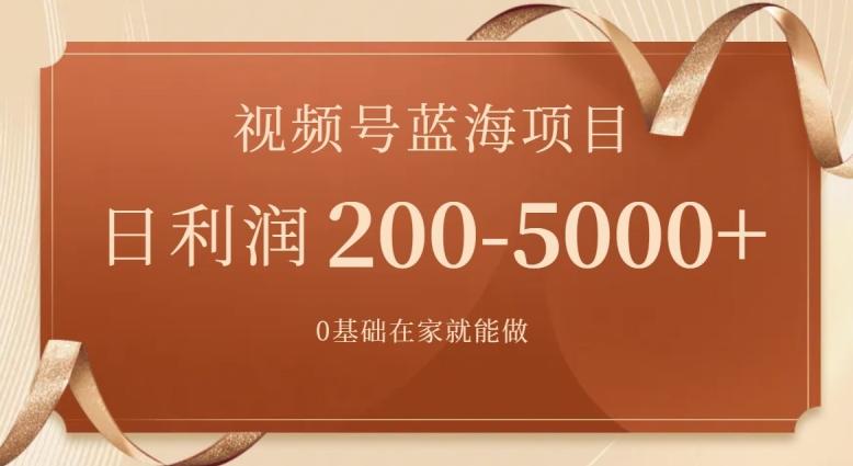 外边收费699视频号项目，最新玩法，简单好操作，一人可做，日四位数-E网资源