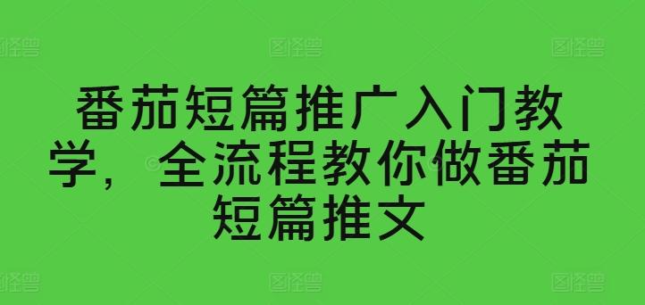番茄短篇推广入门教学，全流程教你做番茄短篇推文-E网资源