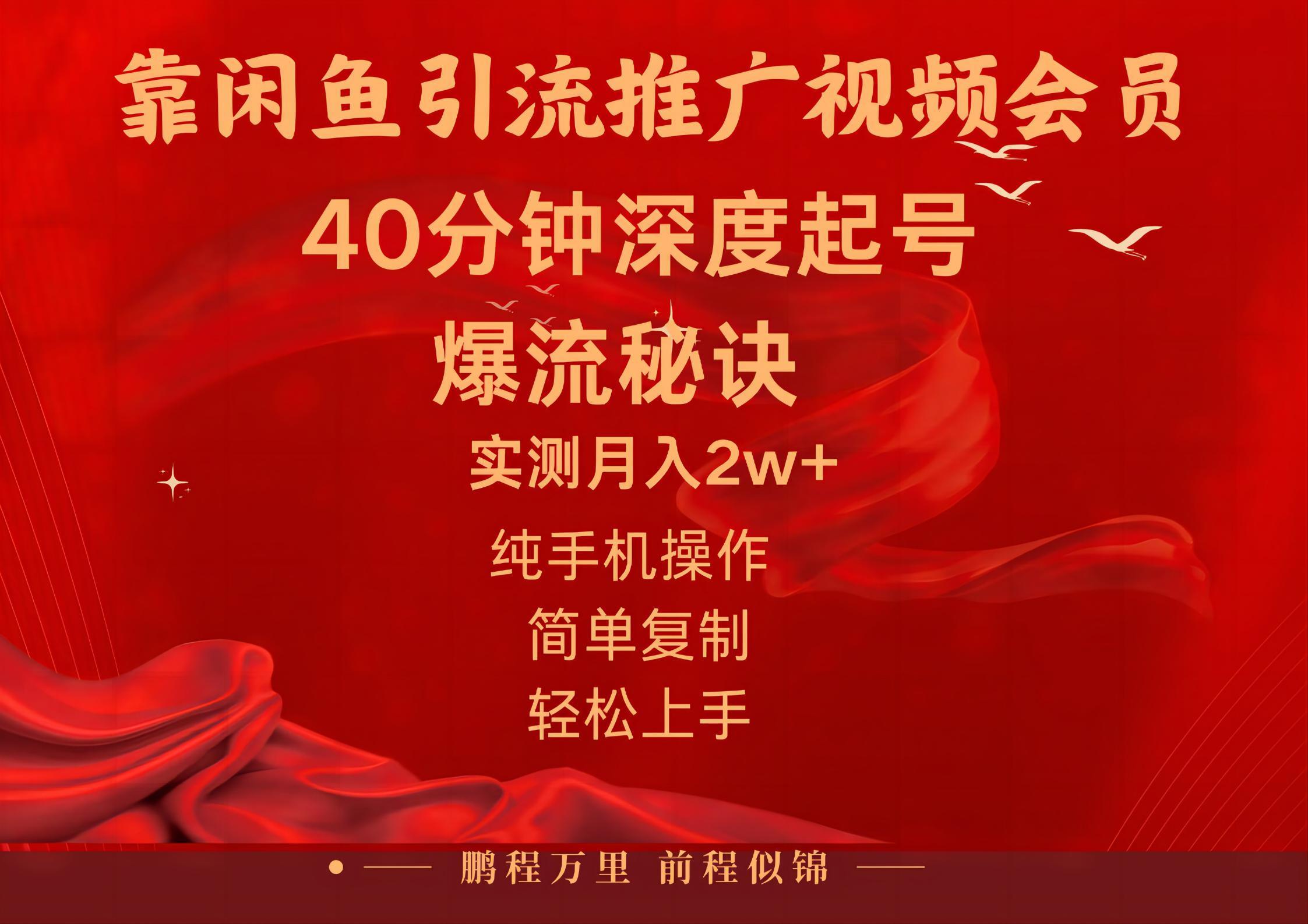 闲鱼暴力引流推广视频会员，能做到日入2W+，操作简单-E网资源