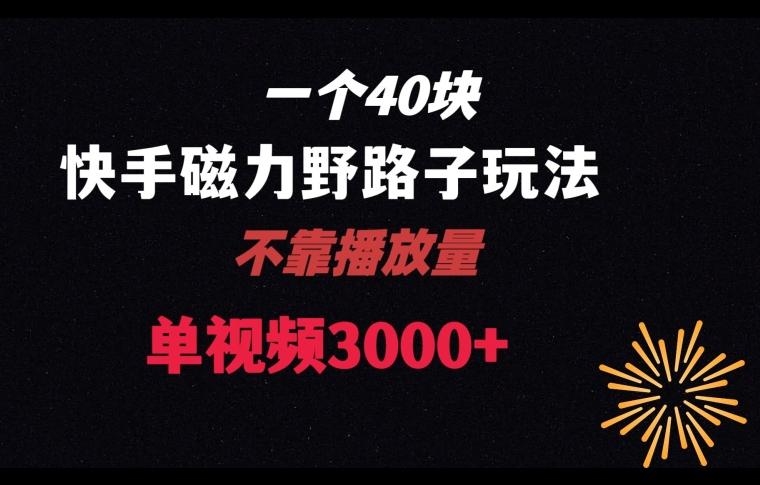 一个40块，快手联合美团磁力新玩法，无视机制野路子玩法，单视频收益4位数【揭秘】-E网资源