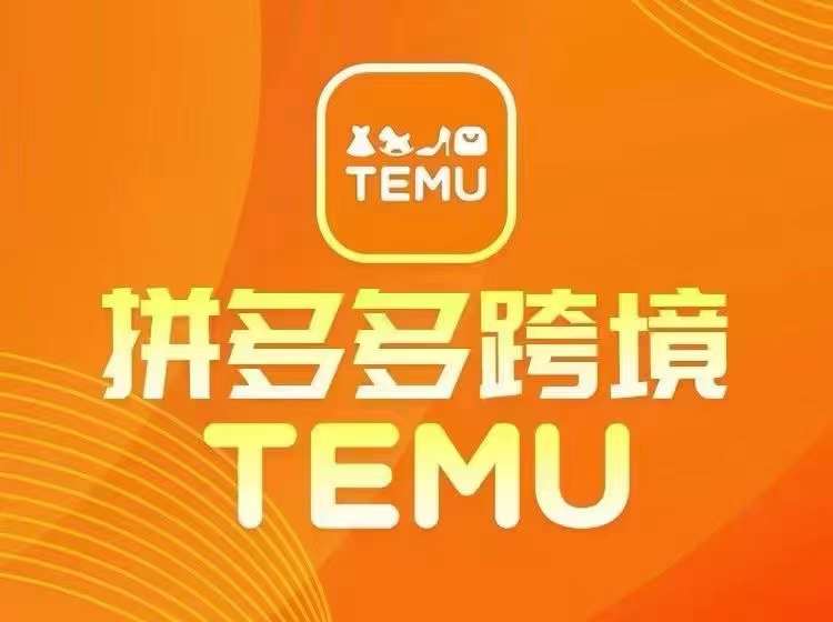 最新TEMU拼多多跨境教程，开店、运营、选品-E网资源