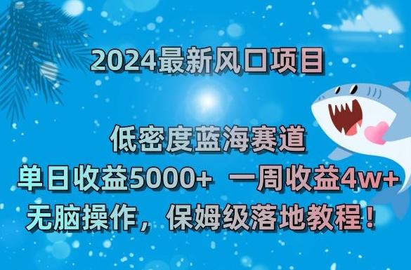 2024最新风口项目，低密度蓝海赛道，单日收益5000+，一周收益4w+！【揭秘】-E网资源