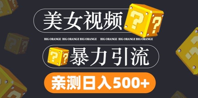 搬运tk美女视频全网分发，日引s粉300+，轻松变现，不限流量不封号【揭秘】-E网资源
