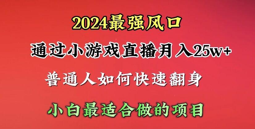 (10020期)2024年最强风口，通过小游戏直播月入25w+单日收益5000+小白最适合做的项目-E网资源