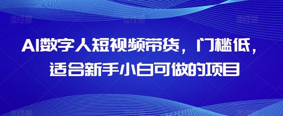 AI数字人短视频带货，门槛低，适合新手小白可做的项目-E网资源
