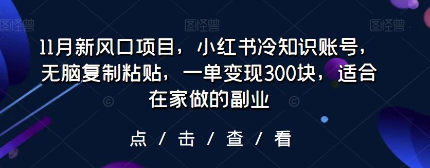 11月新风口项目，小红书冷知识账号，无脑复制粘贴，一单变现300块，适合在家做的副业-E网资源