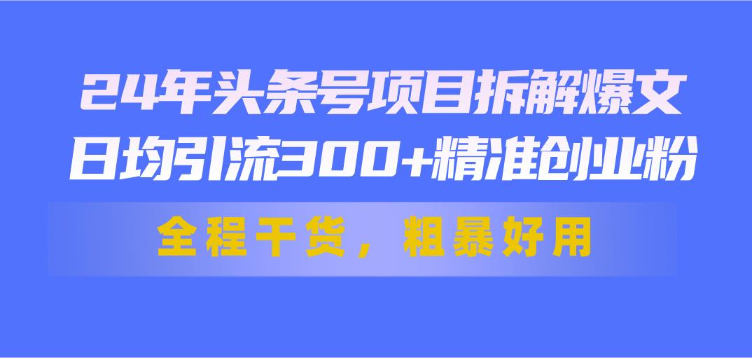 24年头条号项目拆解爆文，日均引流300+精准创业粉，全程干货，粗暴好用-E网资源