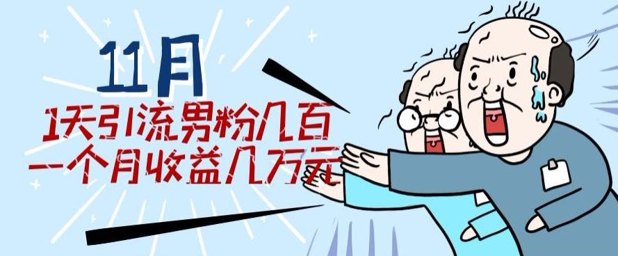 11月最新每天引流男粉300+一个月收益几万元-E网资源