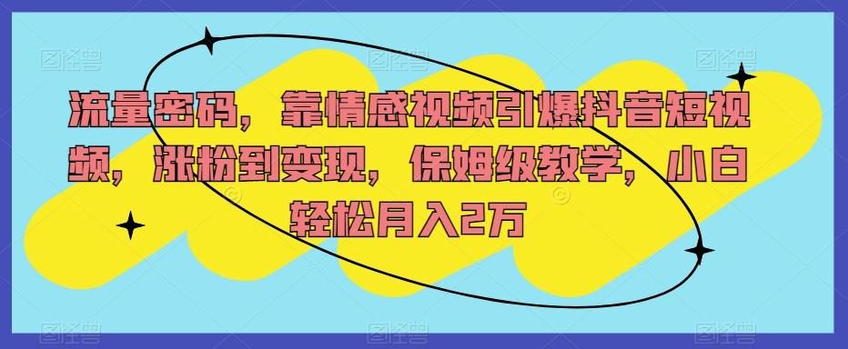 流量密码，靠情感视频引爆抖音短视频，涨粉到变现，保姆级教学，小白轻松月入2万【揭秘】-E网资源