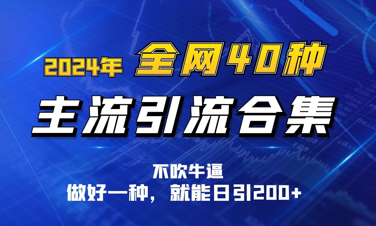 2024年全网40种暴力引流合计，做好一样就能日引100+-E网资源