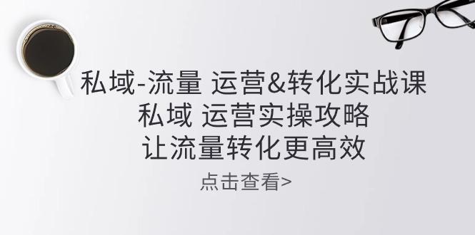 私域-流量 运营&转化实操课：私域 运营实操攻略 让流量转化更高效-E网资源