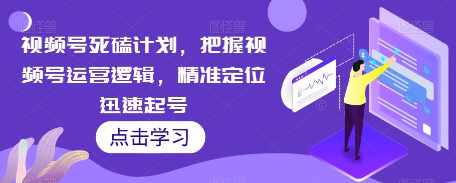 视频号死磕计划，把握视频号运营逻辑，精准定位迅速起号-E网资源