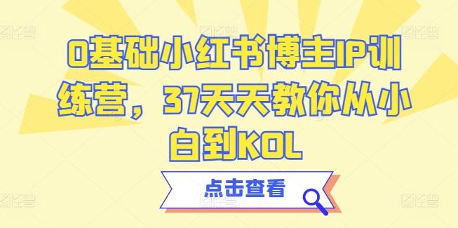 0基础小红书博主IP训练营，37天天教你从小白到KOL-E网资源